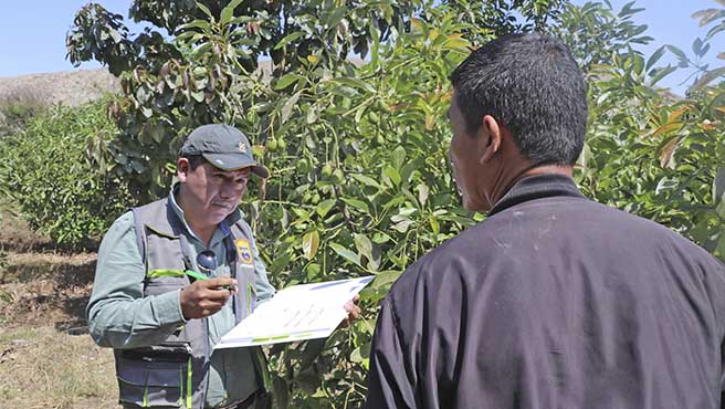 Municipalidad visitaron in situ a los establecimientos, o espacios donde los Agentes Económicos Organizados – AEO