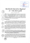 Vista preliminar de documento RER 548-2024-GOB