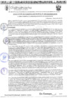Vista preliminar de documento RGM 1339-2024