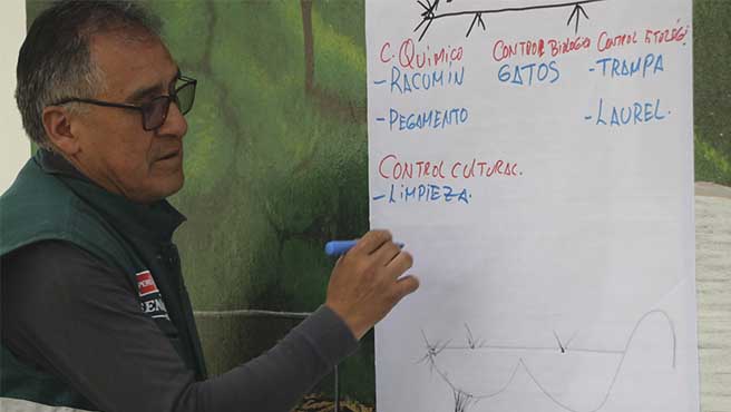 Recibieron una capacitación con el objetivo de controlar y erradicar la plaga de la mosca de la fruta.