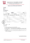 Vista preliminar de documento SOLICITUD DE COTIZACION Nº 0108-2024