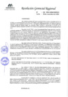Vista preliminar de documento RGR  0156-2024-GRPPAT