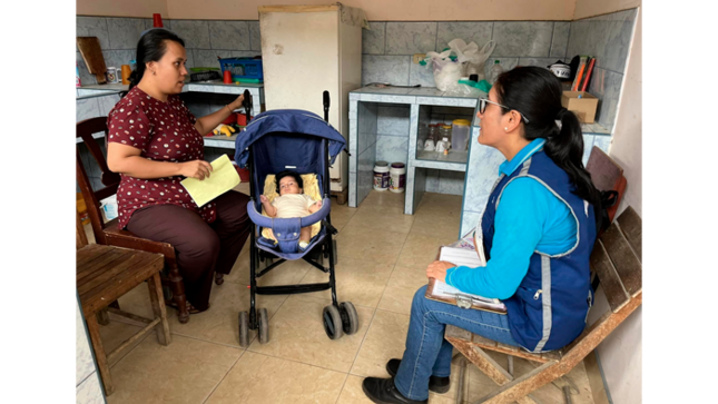 Actores sociales vienen realizando visitas domiciliarias brindando charlas informativas y preventivas sobre la anemia.