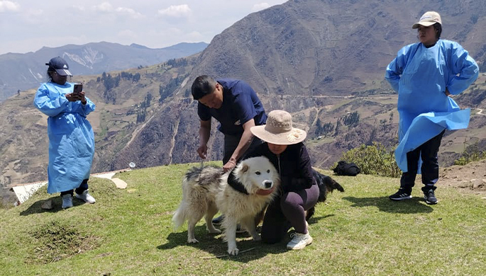 Imagenes de la intervención de la vacunación antirrábica en caserion y Huamachuco.