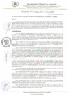 Vista preliminar de documento AC_101_2024_MDI