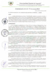 Vista preliminar de documento AC_100_2024_MDI
