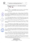 Vista preliminar de documento RESOLUCION JEFATURAL N° 368-2024-GORE-ICA-PETACC-JP