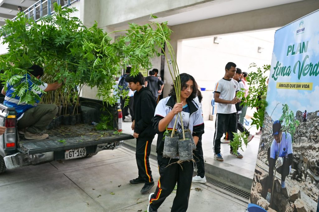 plantas