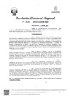 Vista preliminar de documento RDR Nº 4181-2024-GRSM-DRE