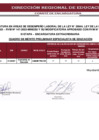 Vista preliminar de documento PROCESO DE ENCARGATURA - CUADRO DE MERITO PRELIMINAR