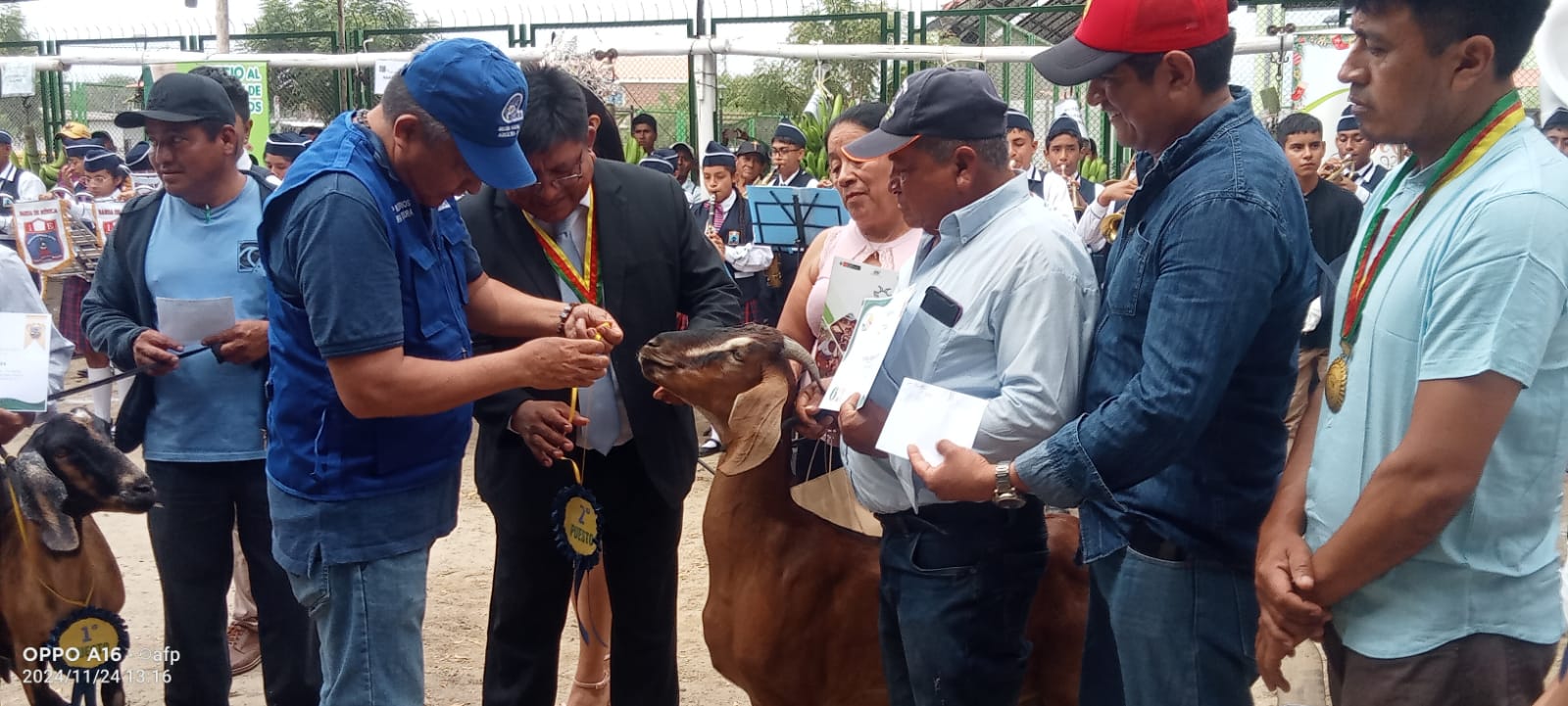 MATANZA
