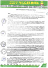 Vista preliminar de documento RADMIN 387 2024