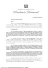Vista preliminar de documento RD-233