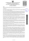 Vista preliminar de documento Resolución N° 340-2024-UNAMAD-VRI