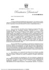 Vista preliminar de documento RD-234