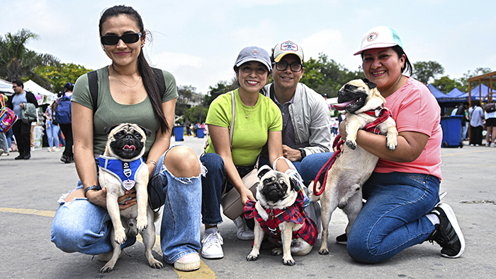 Adoptatón - 1