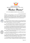 Vista preliminar de documento RD317-2024