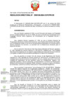 Vista preliminar de documento RD Nº D000166-2024-DE