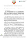 Vista preliminar de documento RD Nº D000167-2024-DE