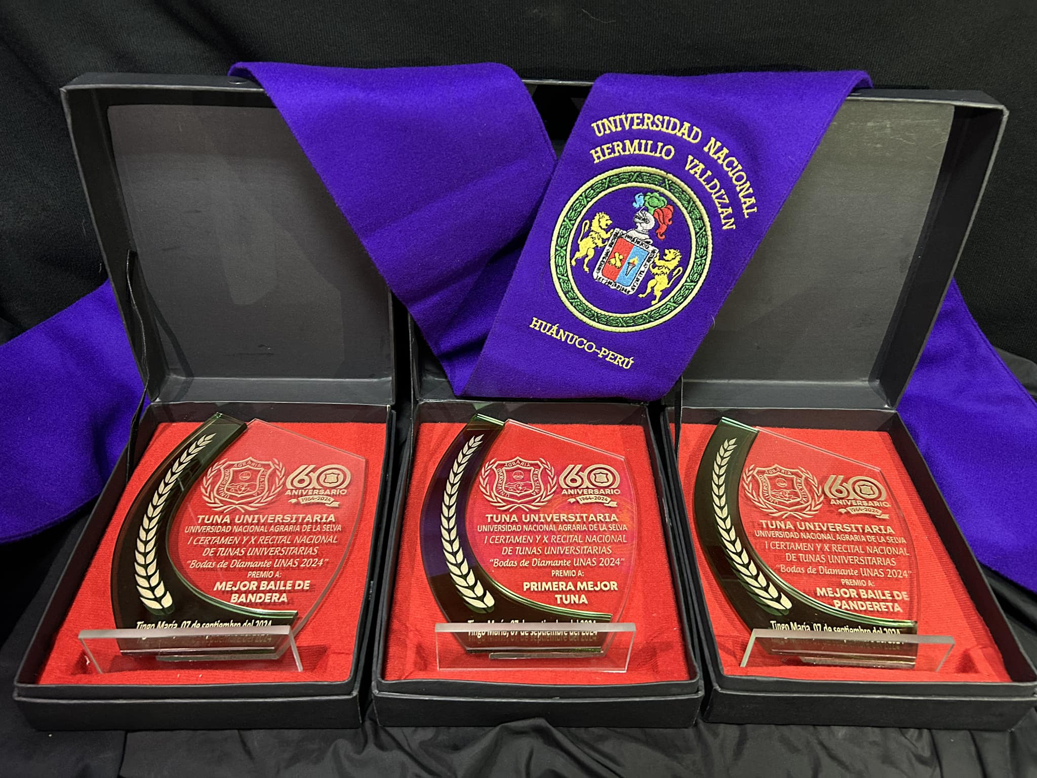 Premios recibidos:
Primera Mejor Tuna
Mejor Baile de Pandereta
Premio a la Mejor Bandera