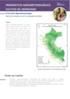 Vista preliminar de documento arandano_monitoreo_2nov24