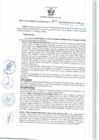 Vista preliminar de documento RGSR 497-2024