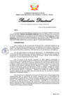 Vista preliminar de documento RD328-2024