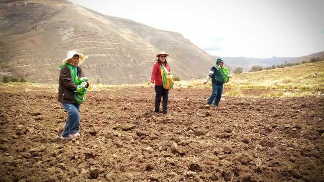 AGRO RURAL