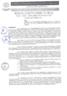 Vista preliminar de documento Nº.617 - 2024 - GRSM/DIRESA-SM/OGESS-AH/DG