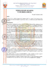 Vista preliminar de documento 23060