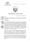 Vista preliminar de documento RD N°363-11-2024-DE-HCLLH-MINSA