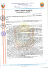 Vista preliminar de documento 23068