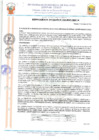 Vista preliminar de documento 23112