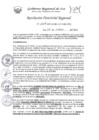 Vista preliminar de documento RDR-1619-2024