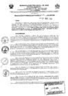 Vista preliminar de documento RGM-224-2024-MPJ-GM