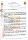 Vista preliminar de documento 23016