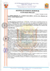 Vista preliminar de documento 23022