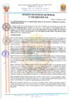 Vista preliminar de documento 23028