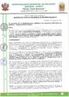 Vista preliminar de documento 23085