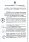Vista preliminar de documento RGSR 513-2024