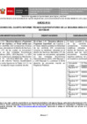 Vista preliminar de documento Anexo N° 1