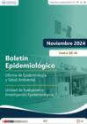Vista preliminar de documento Boletín Epidemiológico - Noviembre-2024