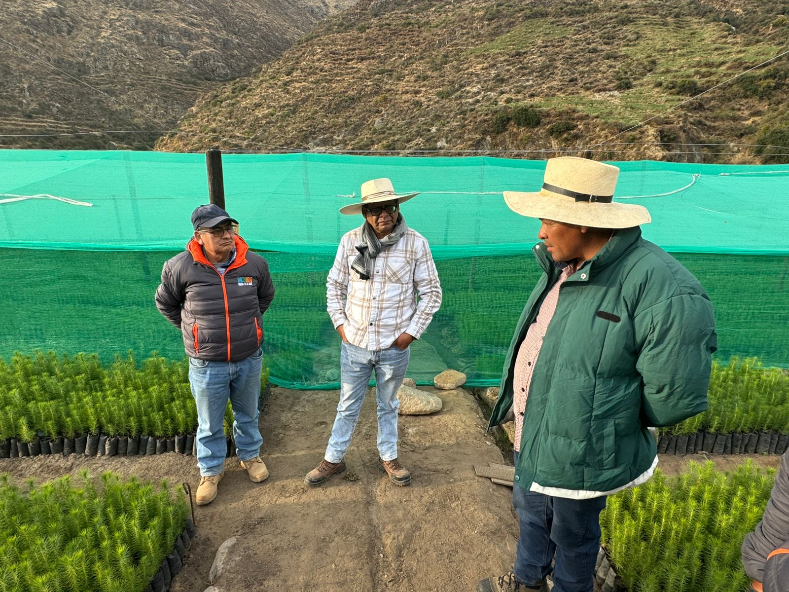 Fotografía del Director Ejecutivo en visita técnica en campo.