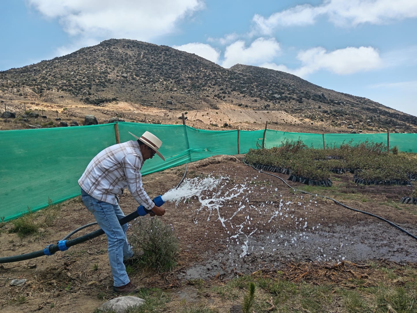 Fotografía del Director Ejecutivo en visita técnica en campo.