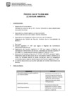 Vista preliminar de documento Convocatoria CAS N° 070-2024