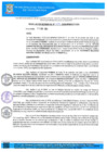 Vista preliminar de documento RG-1089