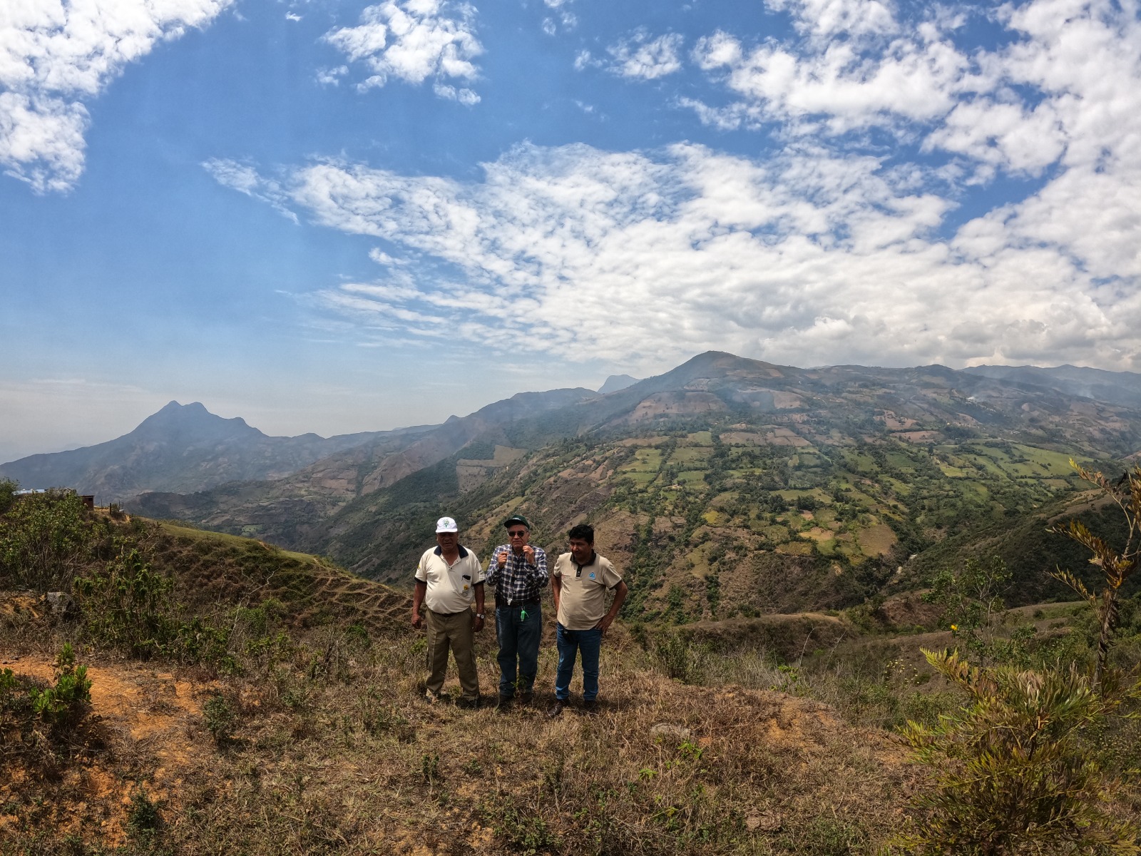 GORE PIURA impulsa estrategias para enfrentar degradación de suelos y recuperar bosques en la región