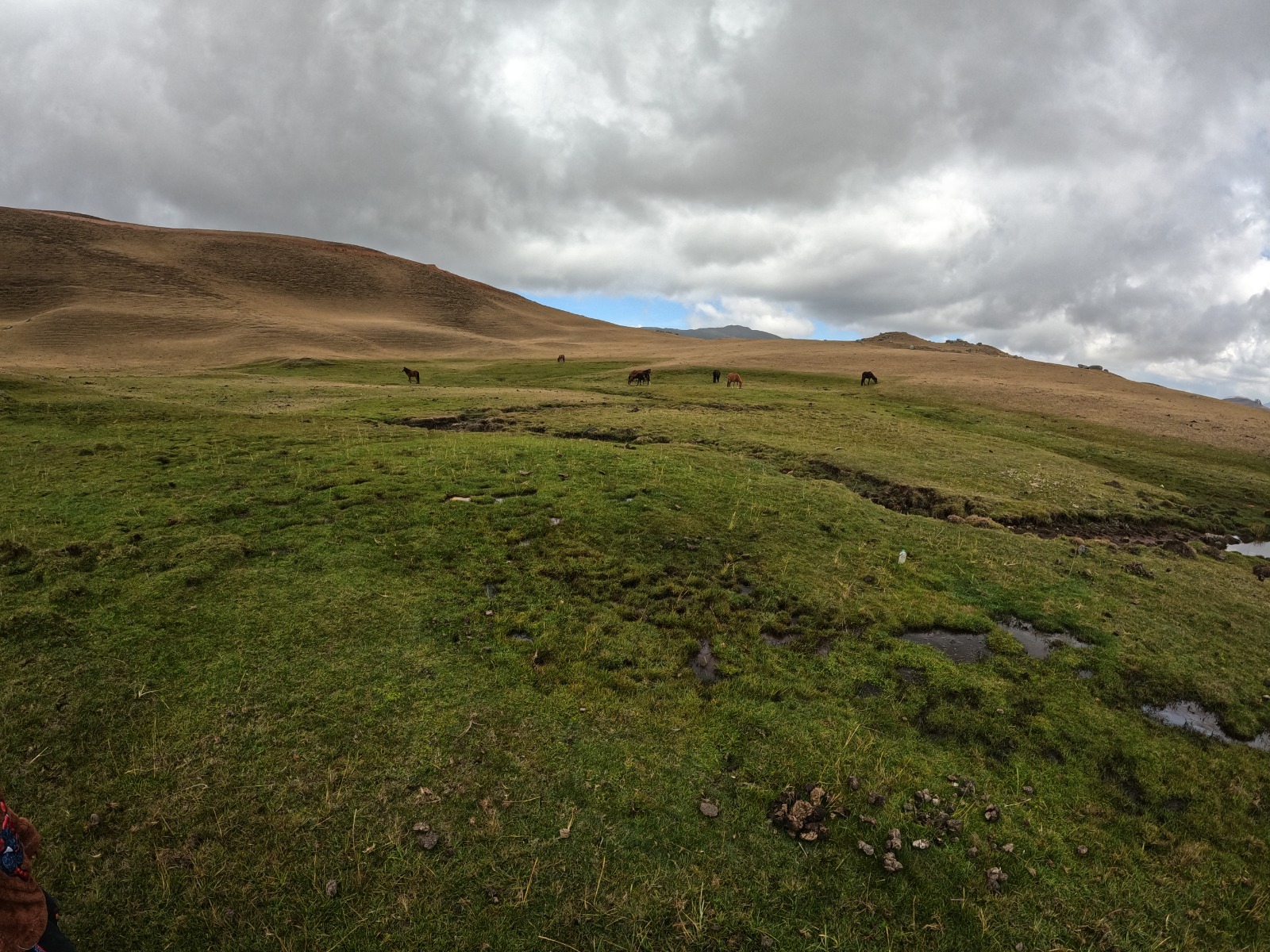 GORE PIURA impulsa estrategias para enfrentar degradación de suelos y recuperar bosques en la región