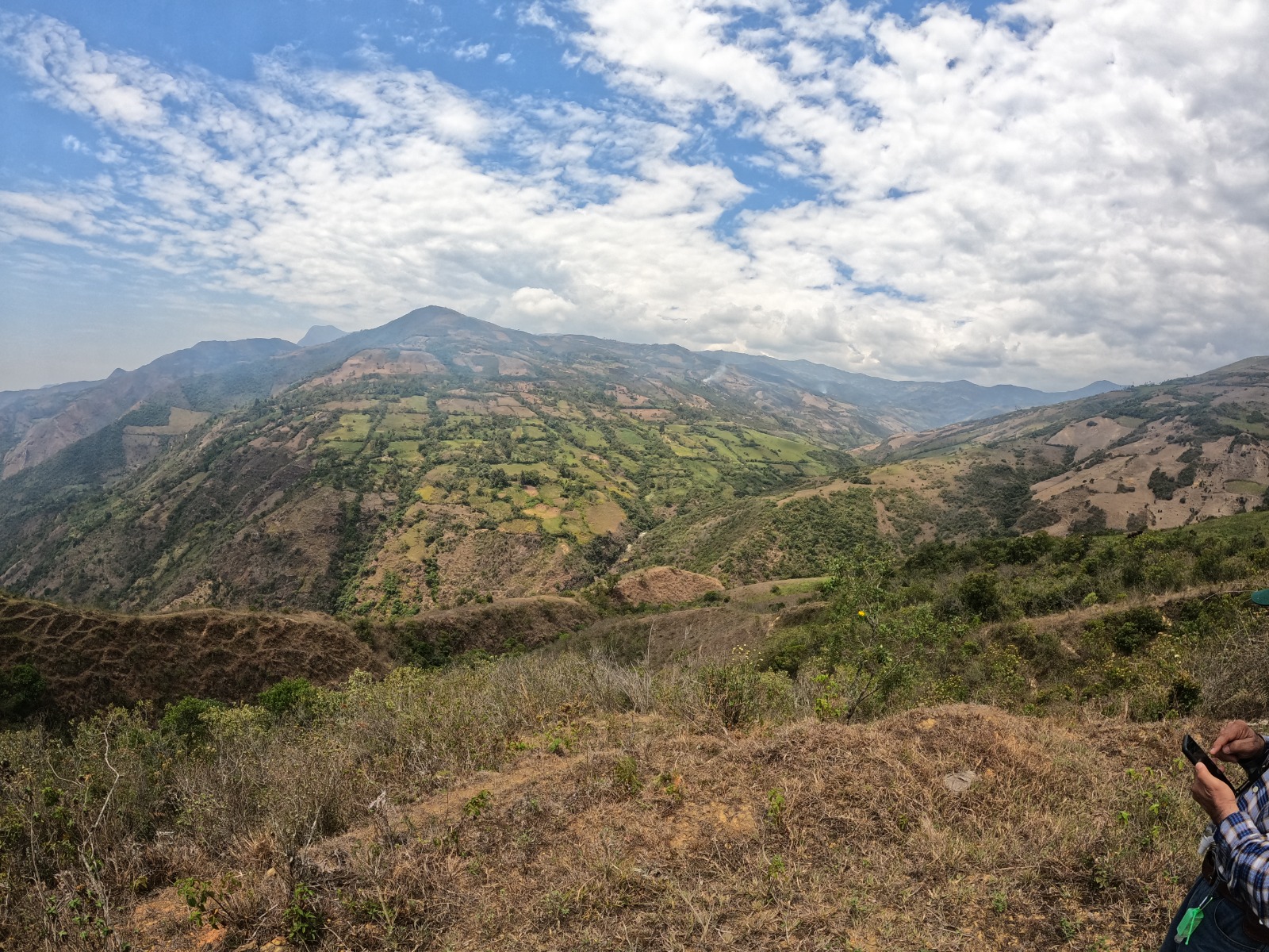 GORE PIURA impulsa estrategias para enfrentar degradación de suelos y recuperar bosques en la región