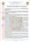 Vista preliminar de documento 22067